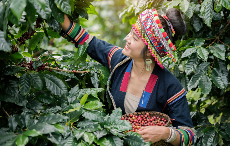 Snímek obrazovky 2026-02-18 112607